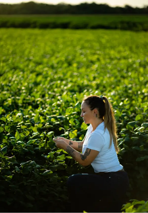 Cynthia Moleta no Campo - CMC - Soluções